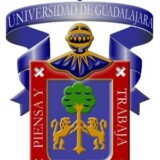 Licenciatura en Derecho en la Universidad Michoacana de San NicolÃ¡s de  Hidalgo -